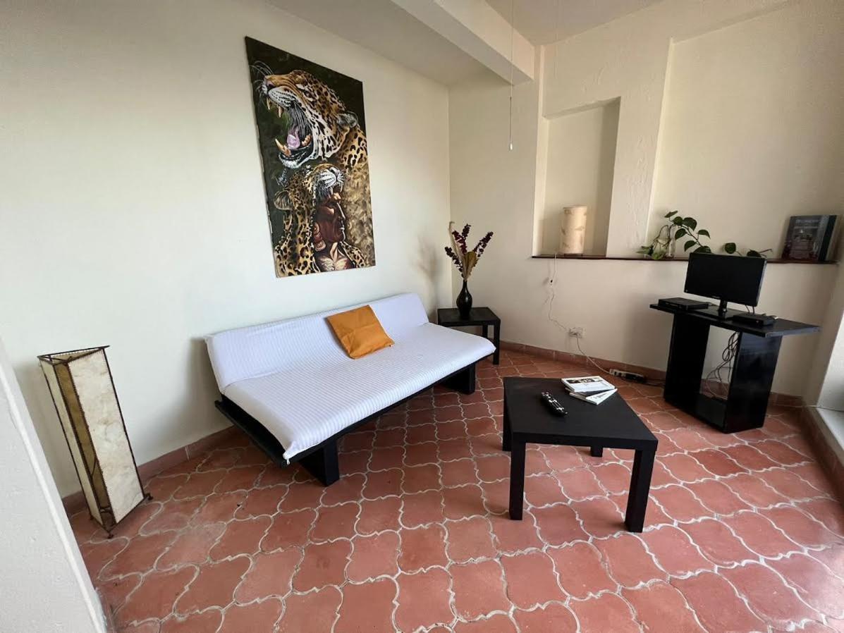 Aparthotel Sarita Centro Historico Sma San Miguel de Allende Dış mekan fotoğraf